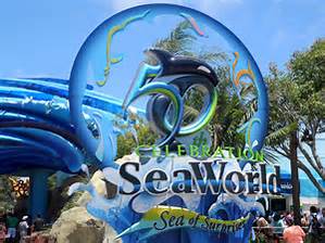 sea world 